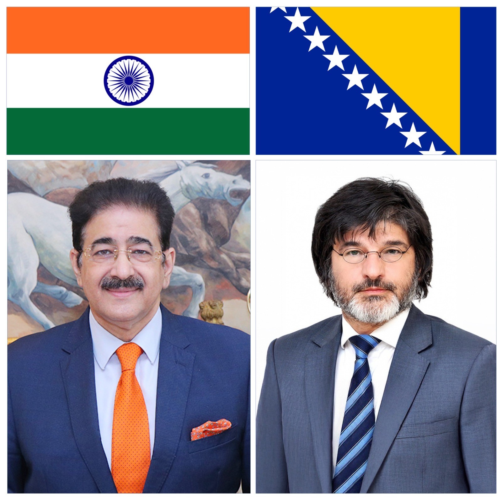 ICMEI Extends Congratulations to Bosnia and Herzegovina on...